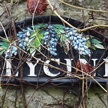 Juvigny-Val-d'Andaine Le Glycine A Manoir Sainte Cecile 아파트 외부 사진