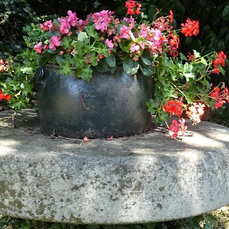 Juvigny-Val-d'Andaine Le Glycine A Manoir Sainte Cecile 아파트 외부 사진