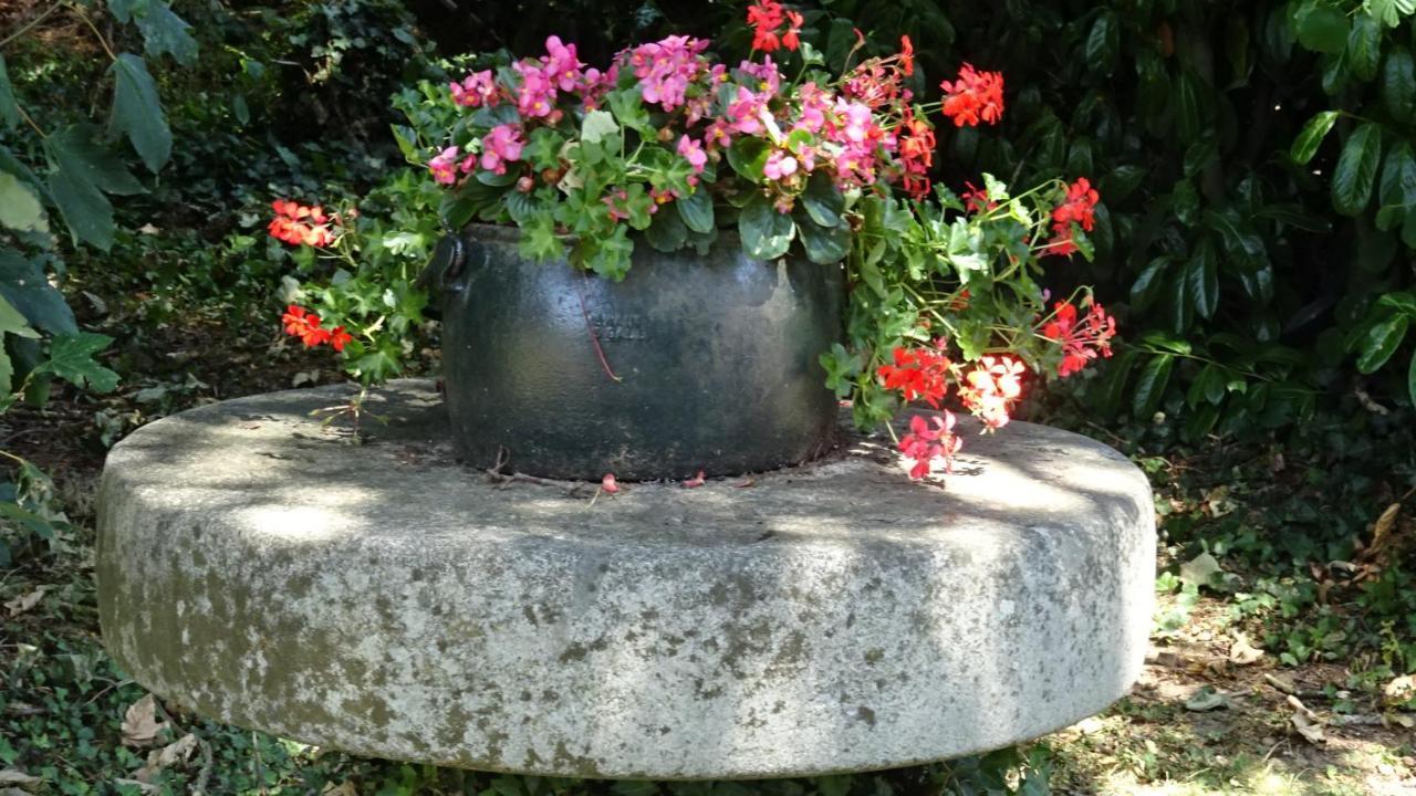 Juvigny-Val-d'Andaine Le Glycine A Manoir Sainte Cecile 아파트 외부 사진
